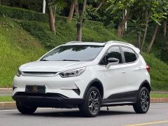 BYD Yuan Pro 2021 401KM Premium Edition - фото 1