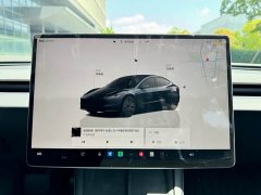 Tesla Model 3 2023 rear-wheel drive version - фото 9
