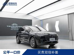 Lynk & Co Adventurer 2024 2.0T two-wheel drive exclusive edition - фото 1