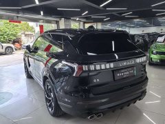 Lynk & Co 09 EM-P 2021 2.0T PHEV Halo six seats - фото 14