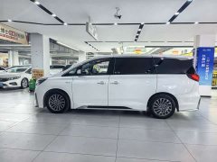 Trumpchi M8 Master Series 390T Extreme Edition - фото 4