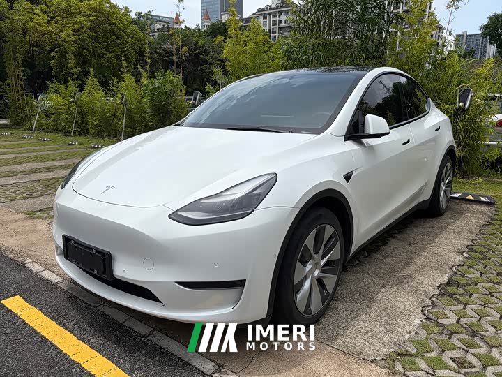 Tesla Model Y 2021 standard range rear-wheel drive version - автомобиль из Китая