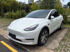 Tesla Model Y 2021 standard range rear-wheel drive version - фото 1