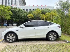 Tesla Model Y 2021 standard range rear-wheel drive version - фото 2