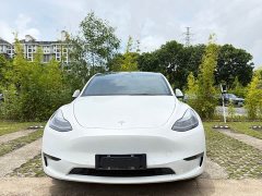 Tesla Model Y 2021 standard range rear-wheel drive version - фото 3