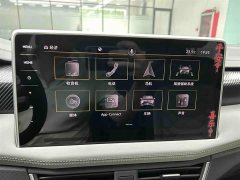 Lexus Tanyue 280TSI two-wheel drive luxury Plus advanced version - фото 6