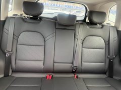 Haval Big Dog 2024 1.5T DCT Border Collie Edition - фото 13
