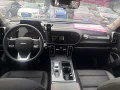 Haval Big Dog 2024 1.5T DCT Border Collie Edition - фото 6