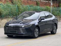 BYD Destroyer 05 Honor Edition DM-i 55KM Luxury Type - фото 1