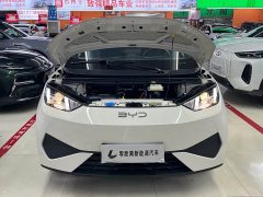 BYD Seagull Smart Driving Edition 305km Vitality Edition - фото 17