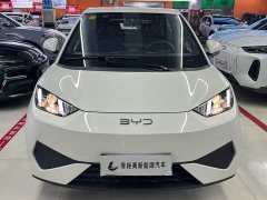 BYD Seagull Smart Driving Edition 305km Vitality Edition - фото 2