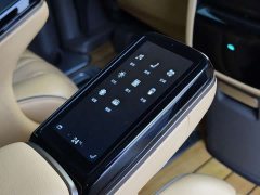 Denza D9 2022 DM-i 1040 Premium Type - фото 13