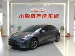 Tesla Model 3 rear-wheel drive version - фото 1