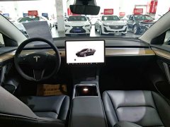 Tesla Model 3 rear-wheel drive version - фото 11