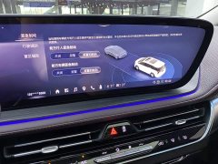 BMW Century 2.0T Six-Seater Yunshi Edition - фото 17