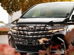 Toyota Alfa Shuangqing 2.5L Premium Gold Edition - фото 6