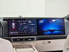Li Auto Ideal L9 Max - фото 16