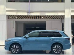 Li Auto ONE 2021 Extended-Range 6-Seater - фото 8