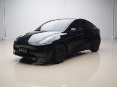 Tesla Model Y 2023 rear-wheel drive version - фото 1