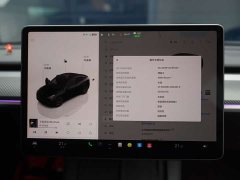 Tesla Model Y 2023 rear-wheel drive version - фото 19