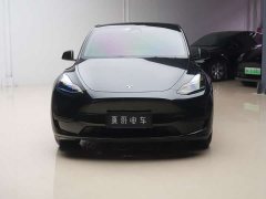 Tesla Model Y 2023 rear-wheel drive version - фото 2