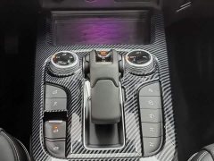 Tank 300 Off-Road Version 2.0T Conqueror - фото 13