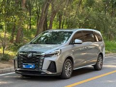 Buick GL8 Land Business Class 652T Luxury - фото 1