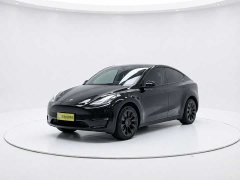 Tesla Model Y standard range rear-wheel drive version - фото 1