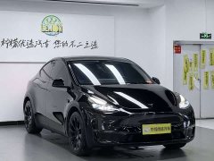 Tesla Model Y standard range rear-wheel drive version - фото 4