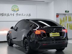 Tesla Model Y standard range rear-wheel drive version - фото 7