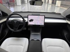 Tesla Model 3 Performance high-performance all-wheel drive version - фото 13