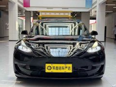 Tesla Model 3 Performance high-performance all-wheel drive version - фото 2