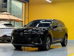 Lexus Envision Plus Envision Plus 652T five-seat four-wheel drive luxury - фото 1