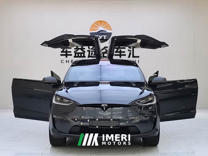 Tesla Model X dual-motor all-wheel drive version - автомобиль из Китая