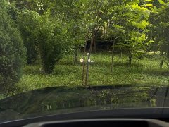 Land Rover Range Rover 3.0 L6 400PS Creation Extended Edition - фото 13