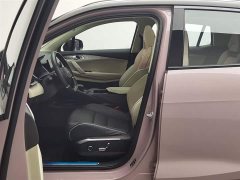 Lynk & Co 06 2021 1.5T Shero Pink Special Edition - фото 10