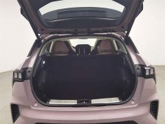 Lynk & Co 06 2021 1.5T Shero Pink Special Edition - фото 16