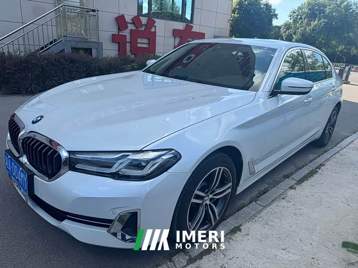BMW 5 Series 530Li Leading Luxury Package - автомобиль из Китая