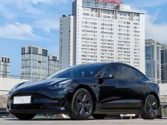Tesla Model 3 2022 rear-wheel drive version - фото 1