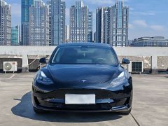 Tesla Model 3 2022 rear-wheel drive version - фото 2