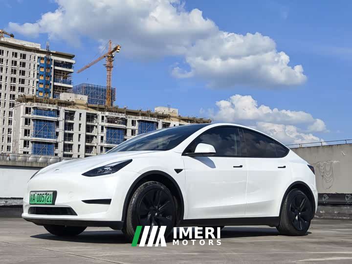 Tesla Model Y rear-wheel drive version - автомобиль из Китая