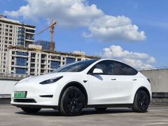Tesla Model Y rear-wheel drive version - фото 1