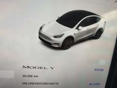 Tesla Model Y rear-wheel drive version - фото 15