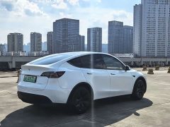 Tesla Model Y rear-wheel drive version - фото 5