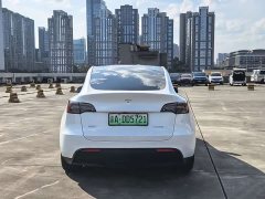 Tesla Model Y rear-wheel drive version - фото 6