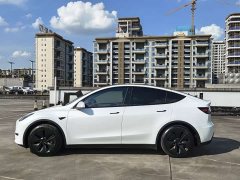 Tesla Model Y rear-wheel drive version - фото 8