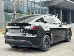 Tesla Model Y 2023 rear-wheel drive version - фото 16