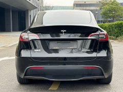 Tesla Model Y 2023 rear-wheel drive version - фото 17