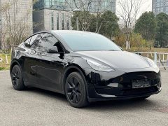 Tesla Model Y 2023 rear-wheel drive version - фото 3