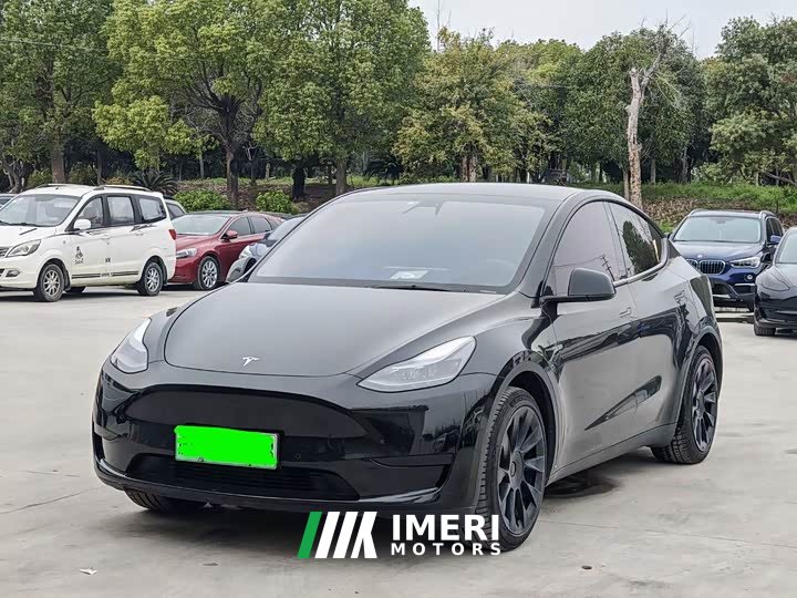 Tesla Model Y standard range rear-wheel drive version - автомобиль из Китая